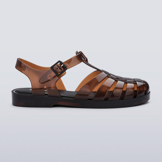 BROWN-06220