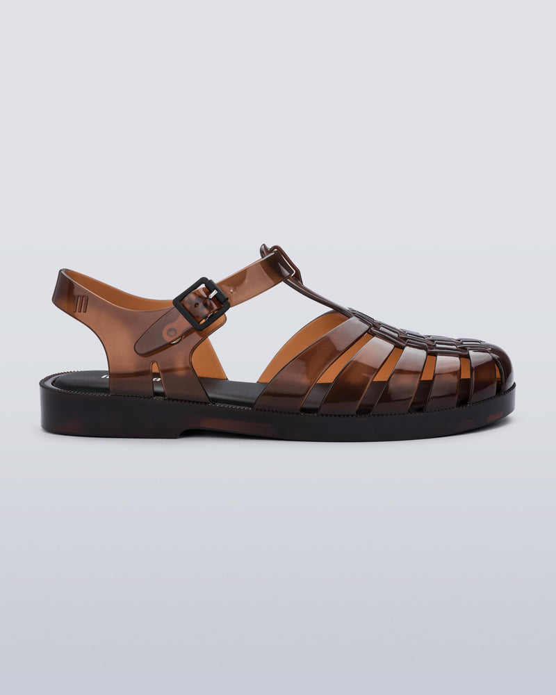 BROWN-06220