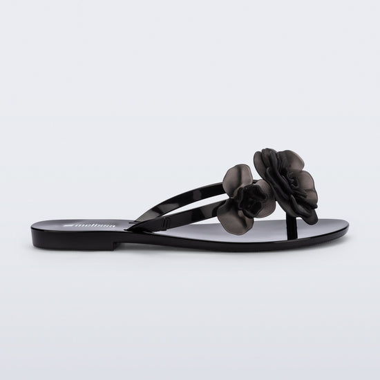 BLACK-BO916