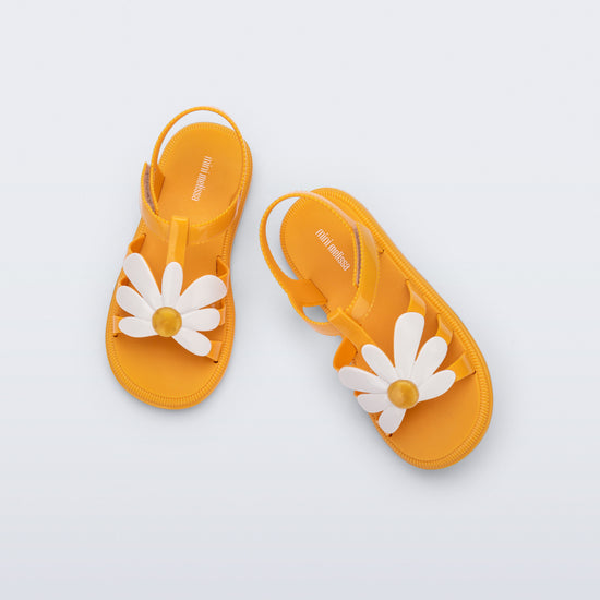 YELLOW/WHITE - BN756