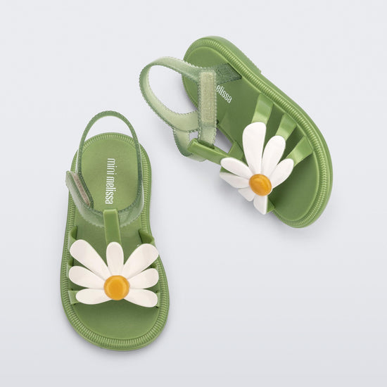 GREEN - AZ774