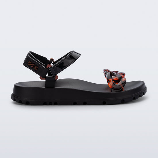 BLACK/TORTOISE - BT249