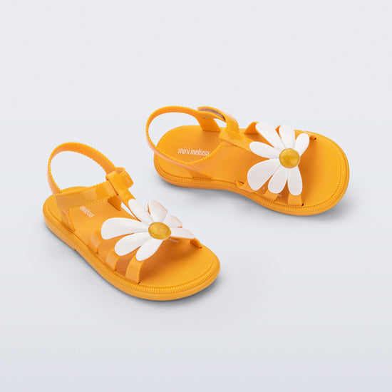 YELLOW/WHITE - BN756