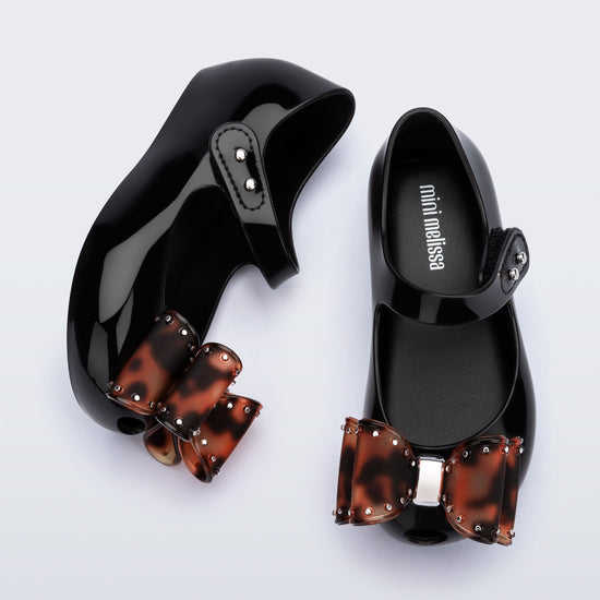 BLACK TURTLE - BC926