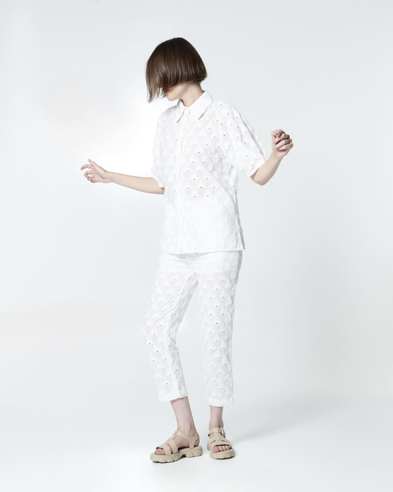 BEIGE - BK446