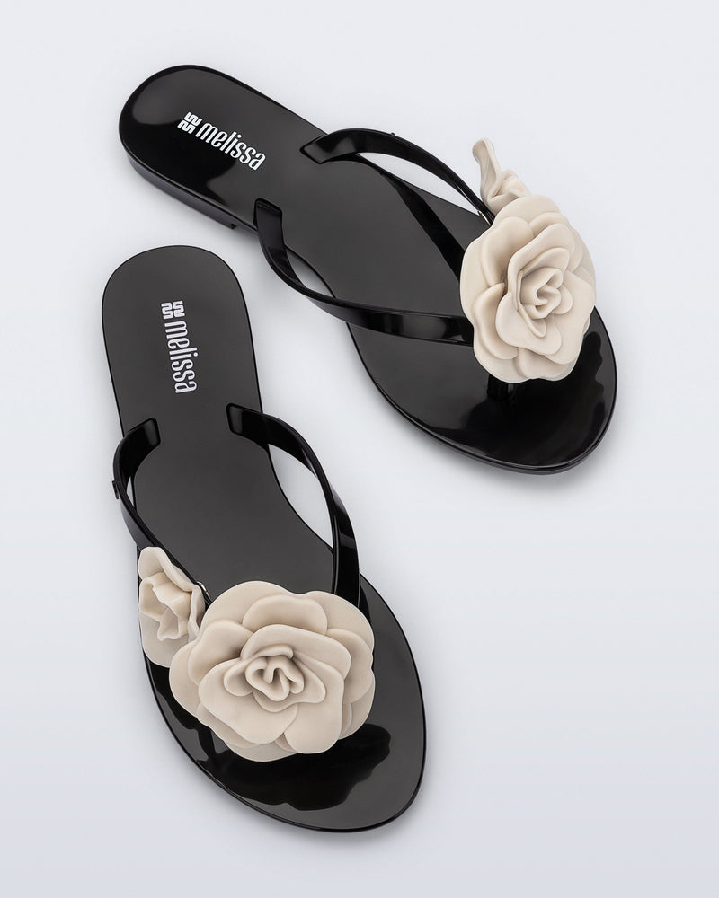 BLACK/BEIGE - BS544