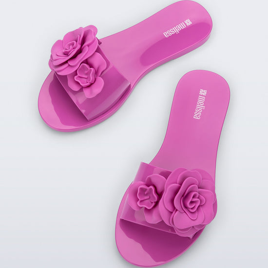 LILAC - BS570