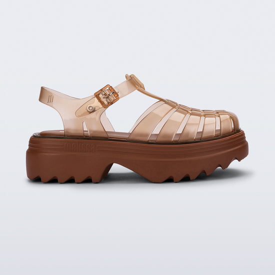 TRANSPARENT BROWN - BK006