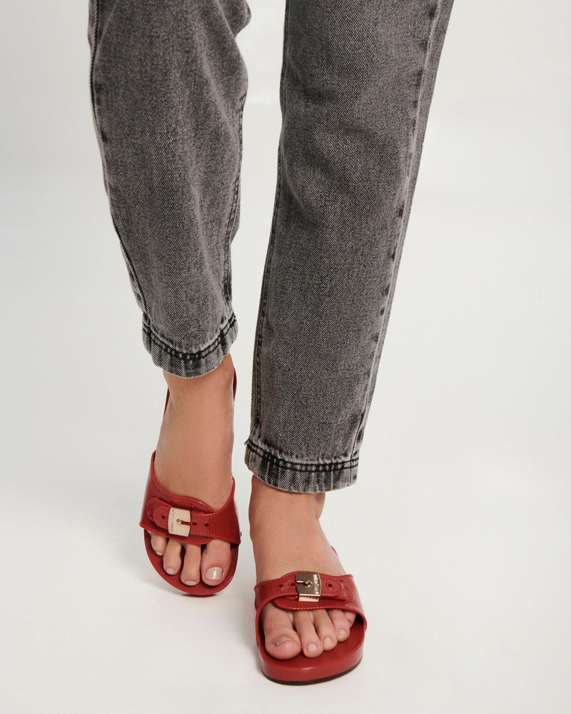 RED - BS449