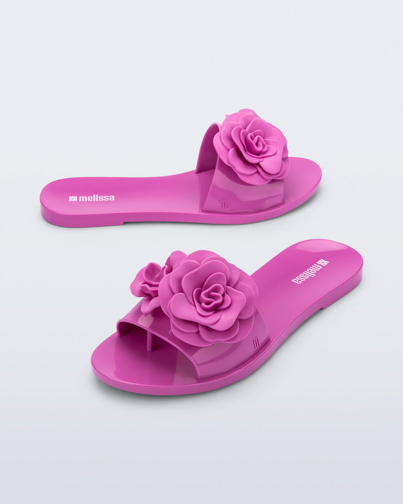 LILAC - BS570